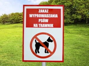 Tablica informacyjna do parku