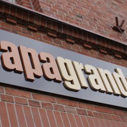 logo przestrzenne papagrande